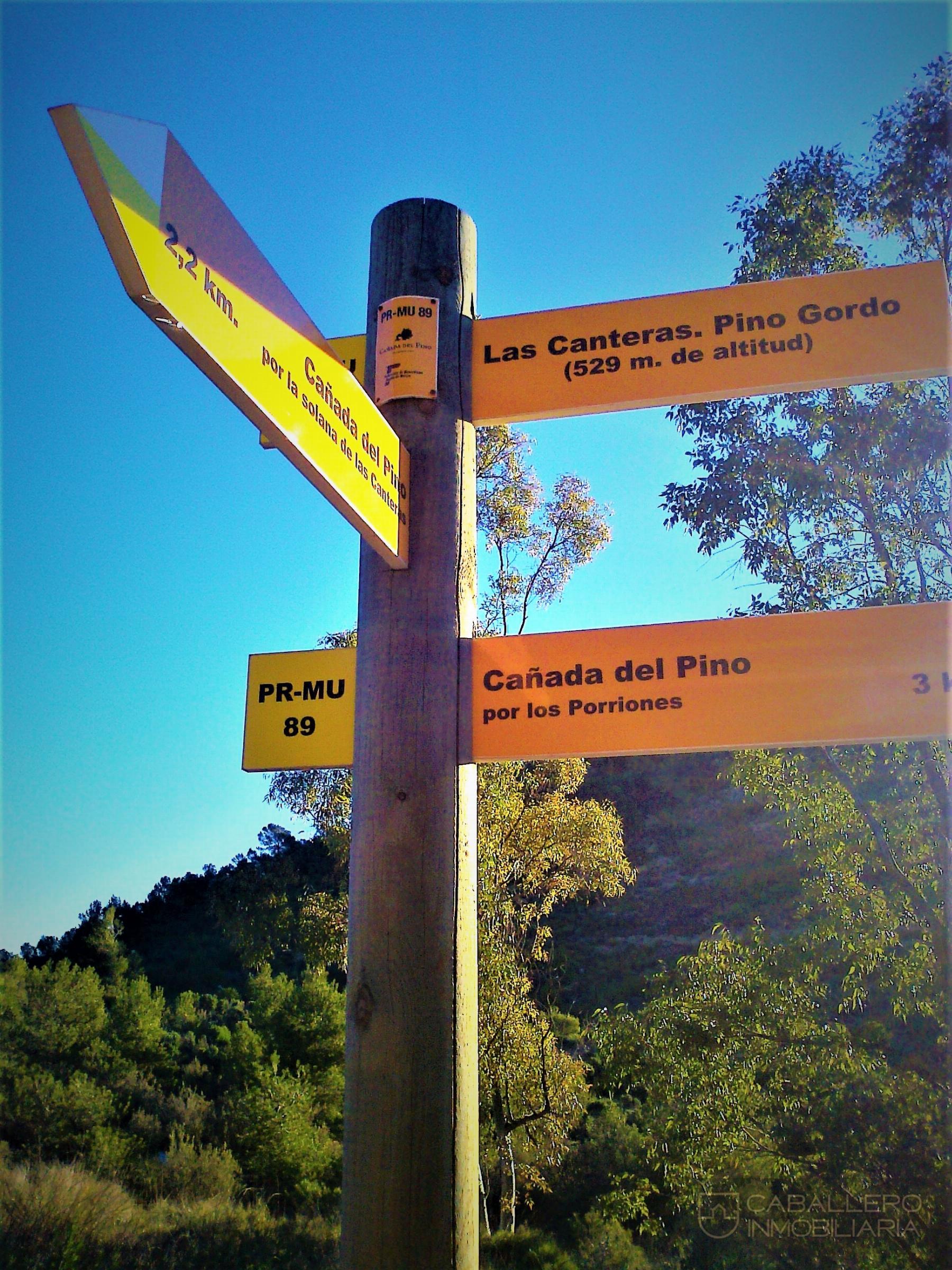 Alquiler de chalet en Murcia