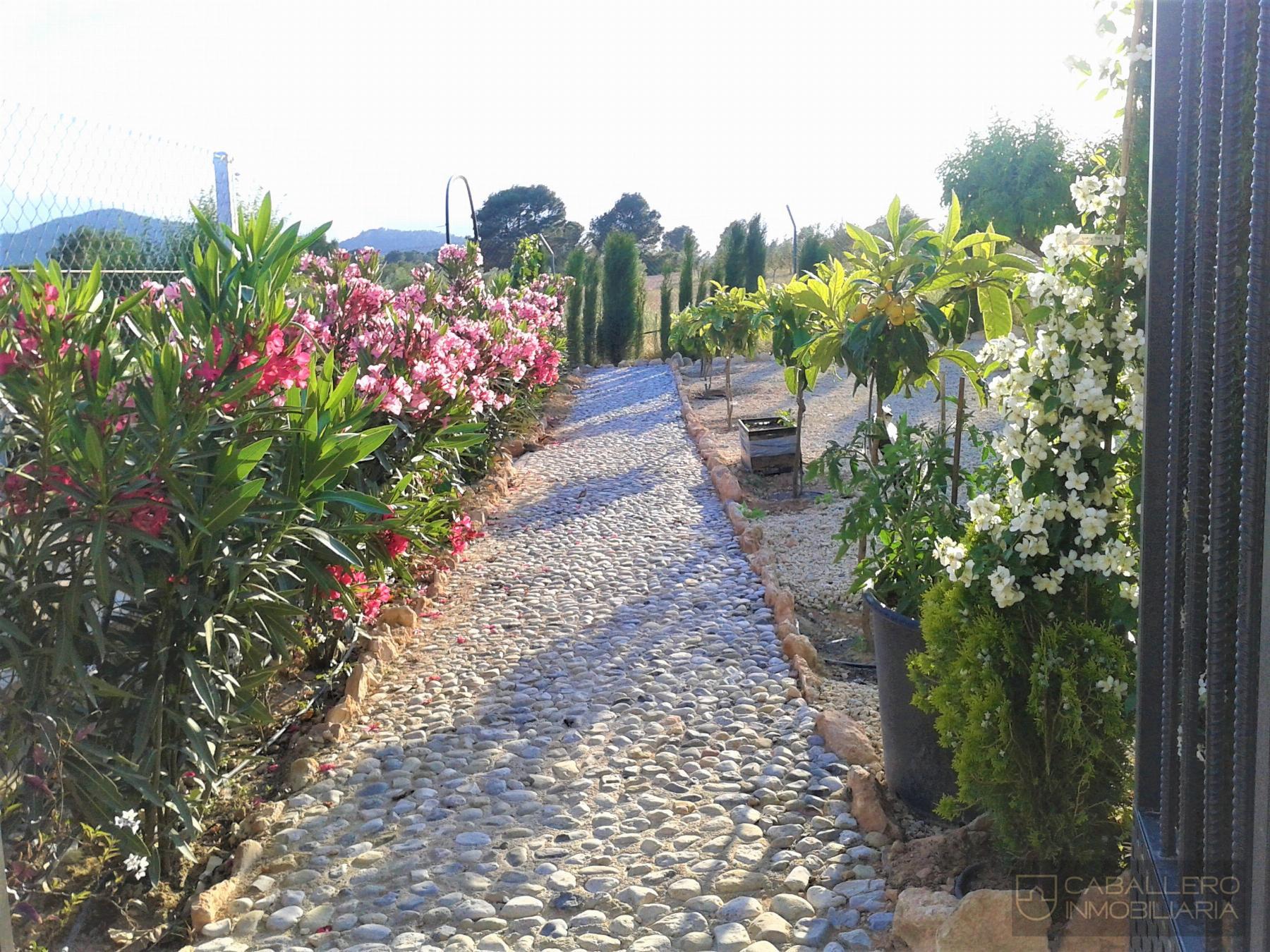 Alquiler de chalet en Murcia
