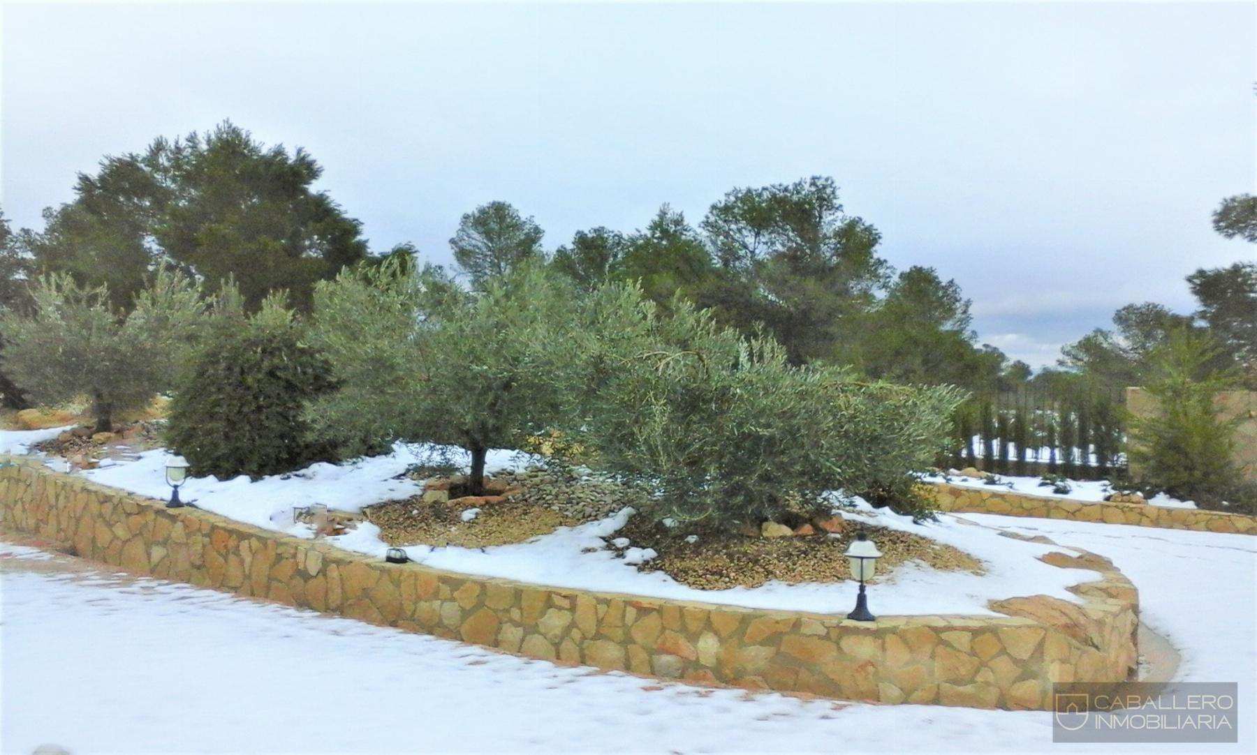 Alquiler de chalet en Murcia