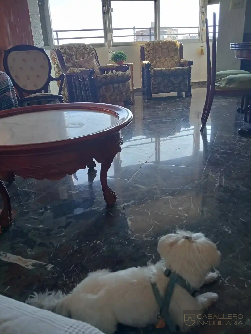 Alquiler de piso en Murcia