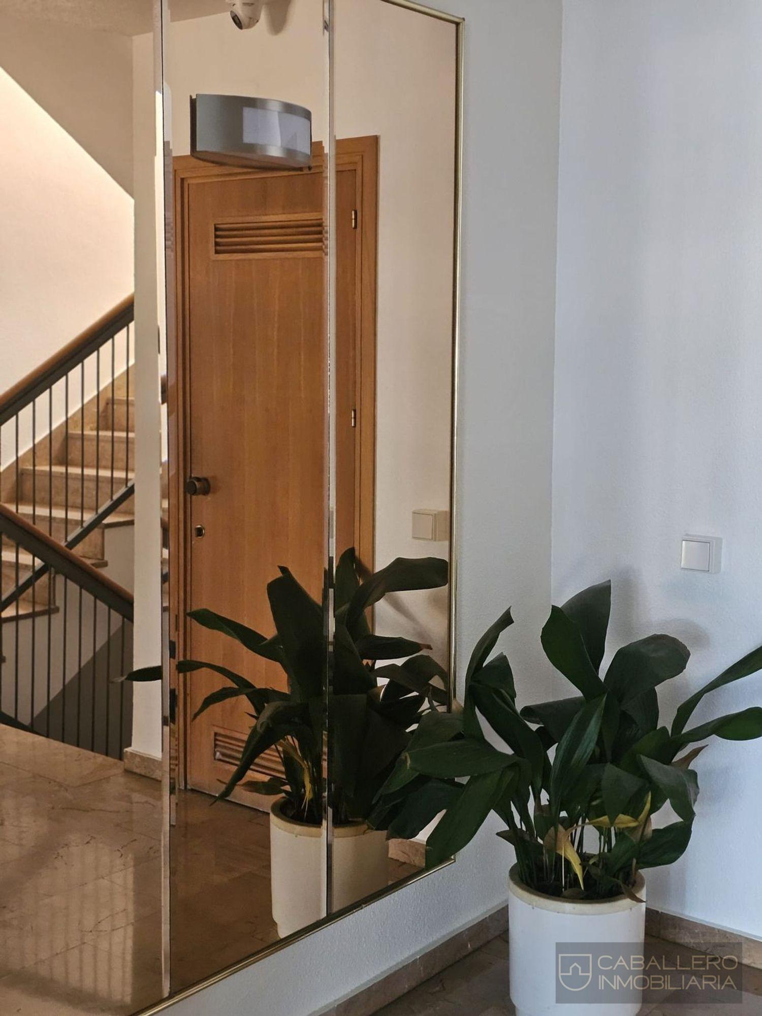 Alquiler de piso en Murcia