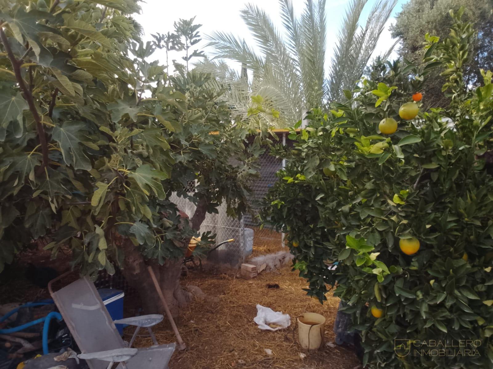 Venta de terreno en Murcia
