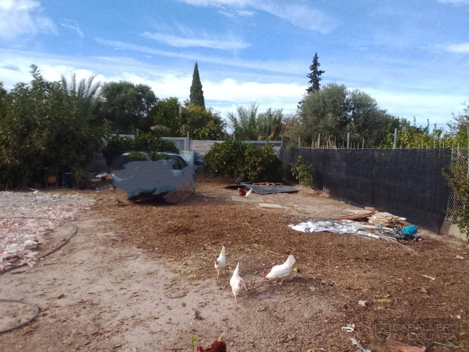 Venta de terreno en Murcia