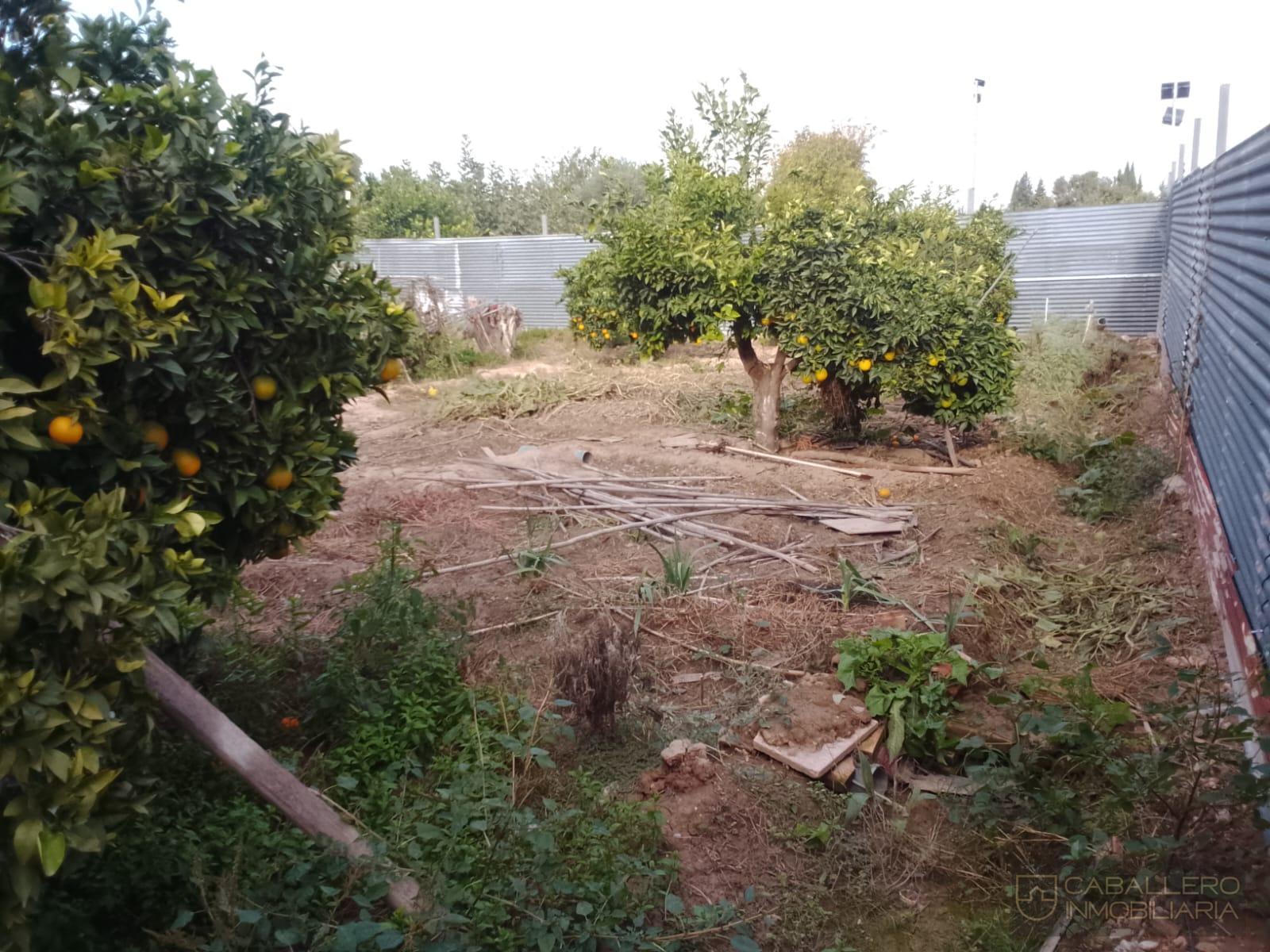 Venta de terreno en Murcia