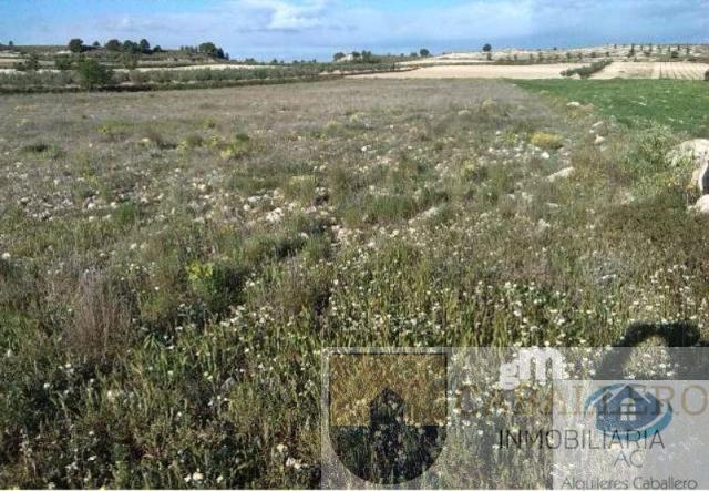 For sale of land in Murcia