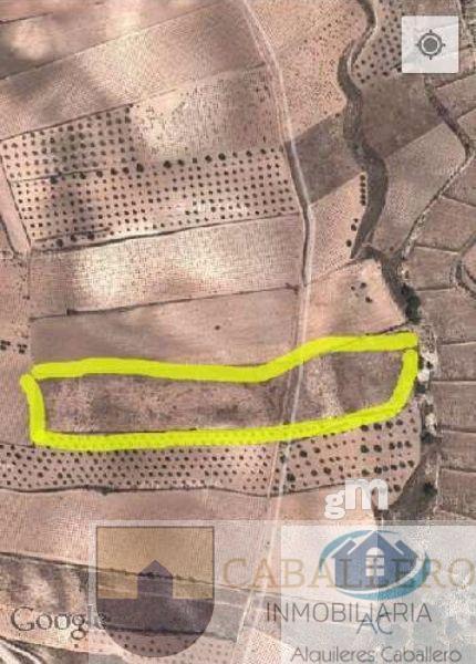 For sale of land in Murcia