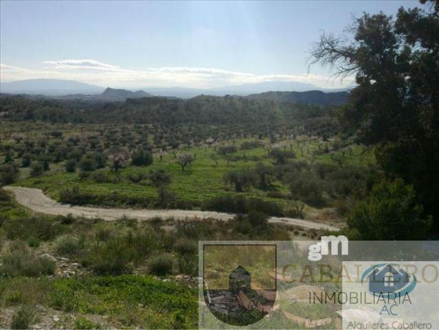 For sale of land in Murcia
