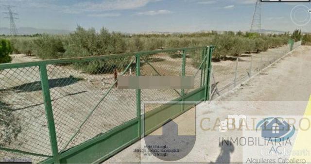 Venta de terreno en Murcia