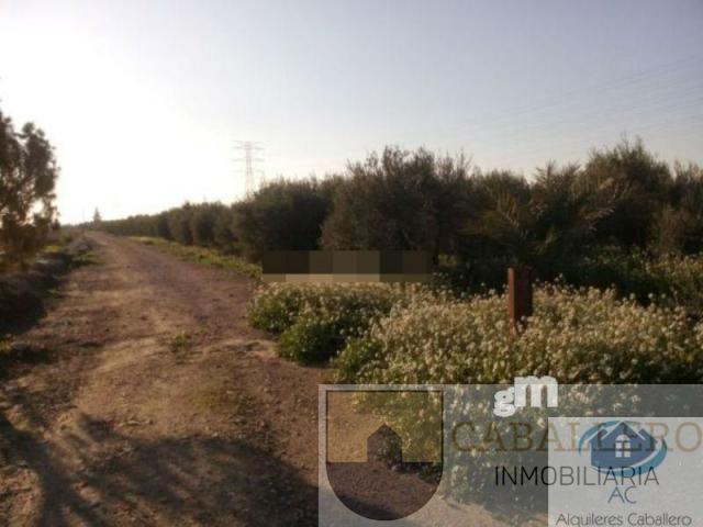 For sale of land in Murcia