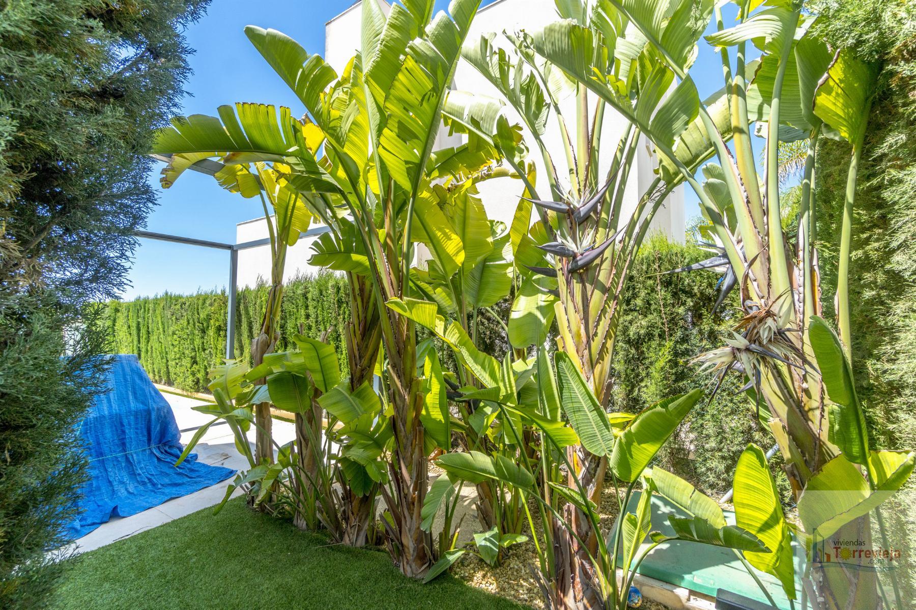 For sale of villa in Ciudad Quesada