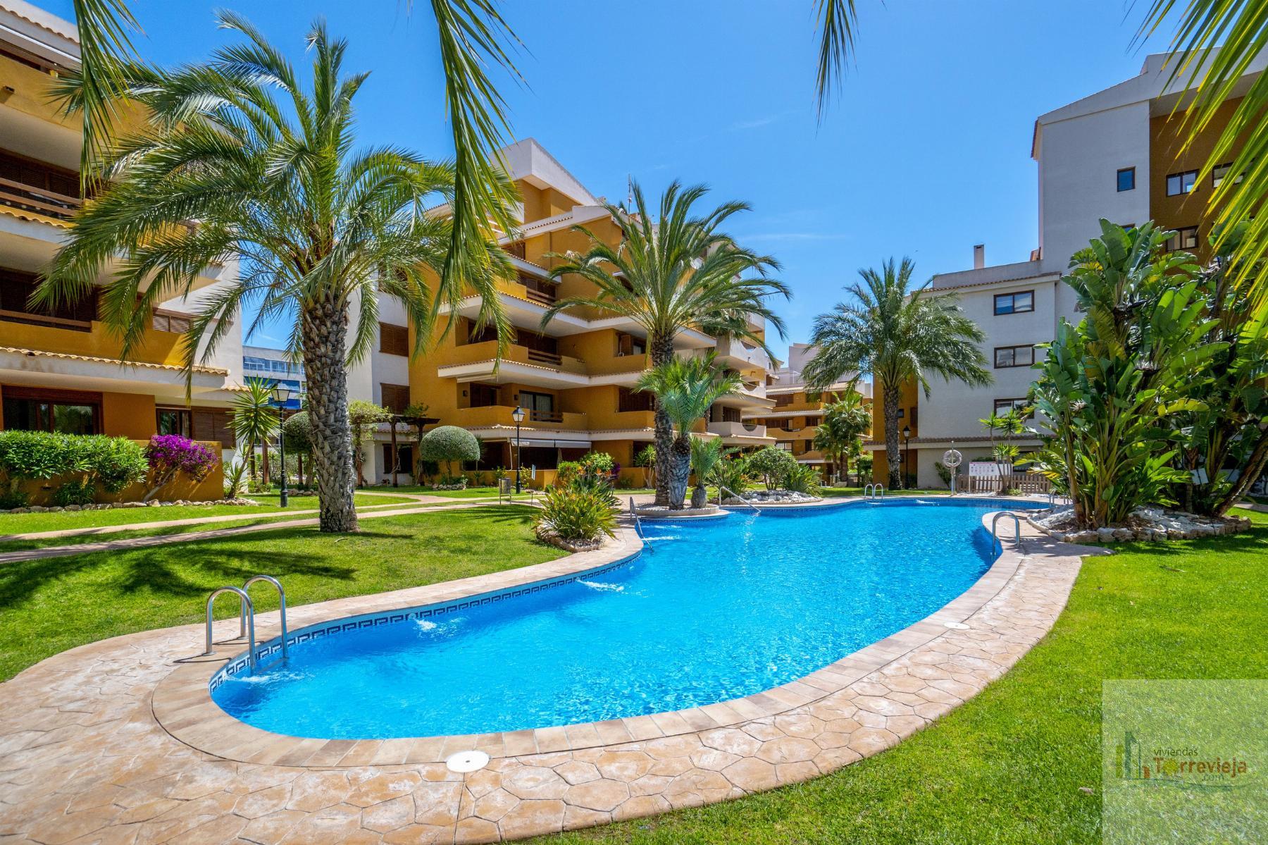 For sale of apartment in Torrevieja