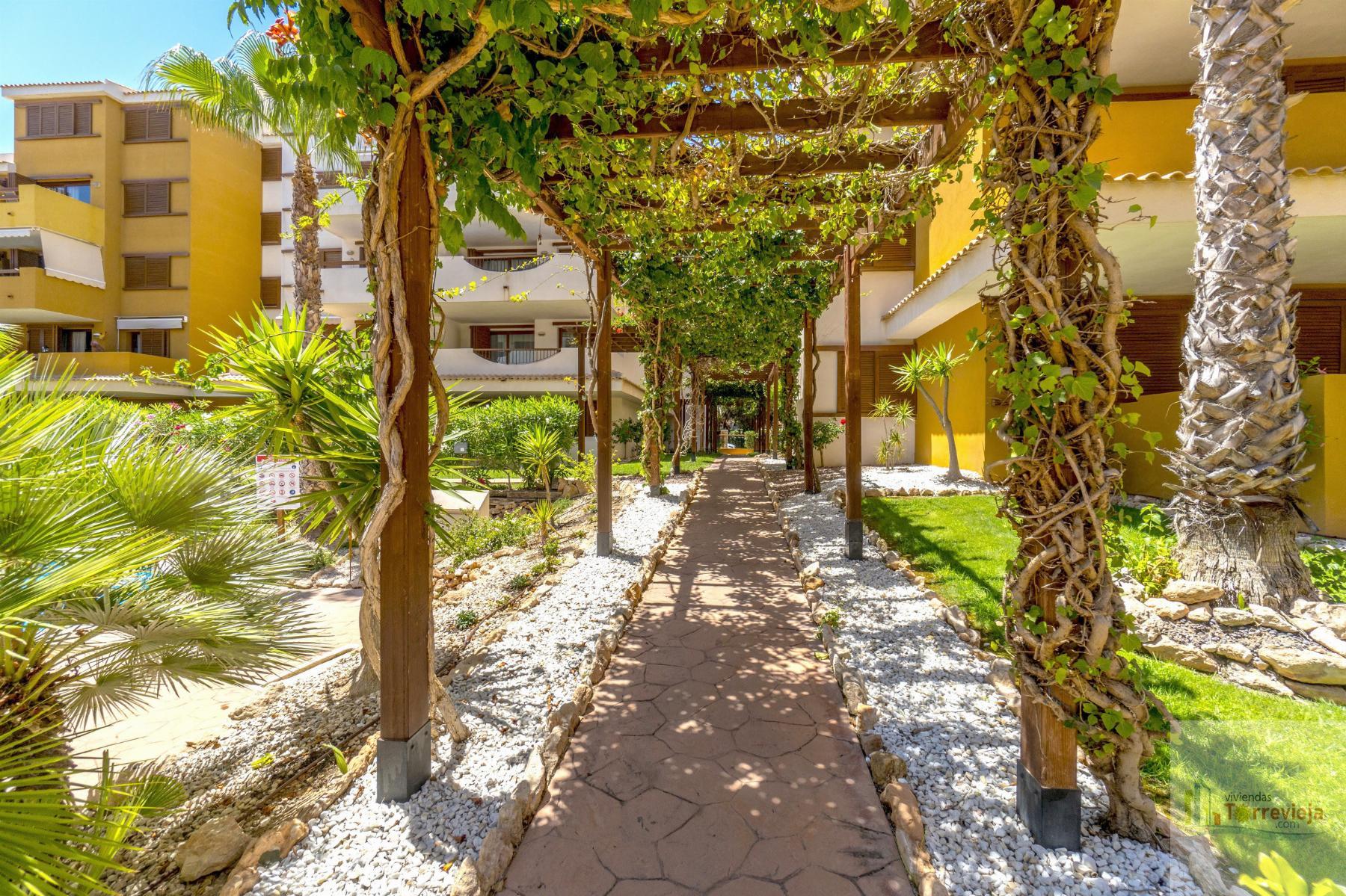 For sale of apartment in Torrevieja