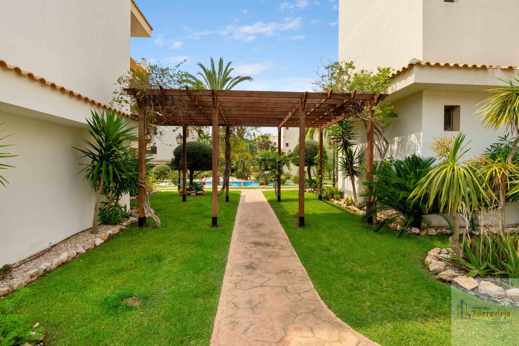 For sale of apartment in Torrevieja