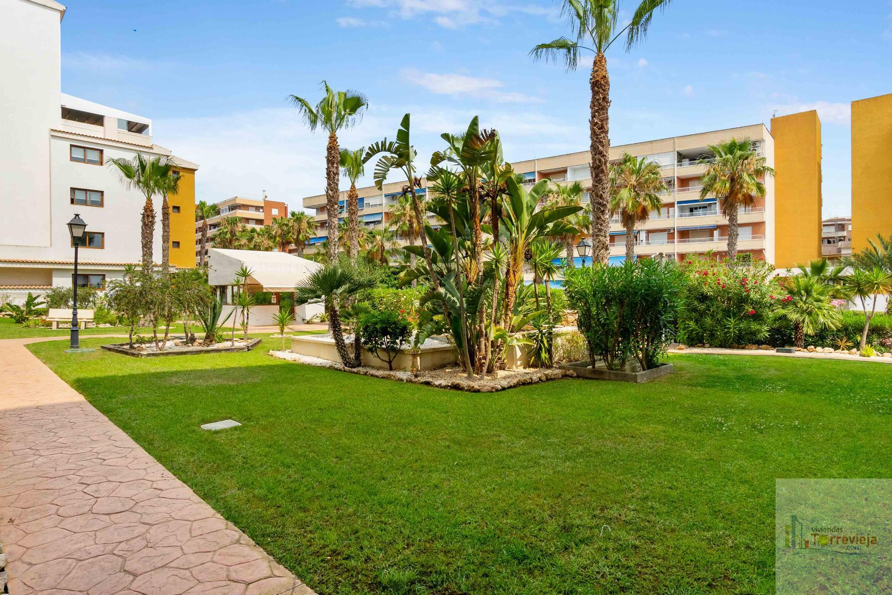 For sale of apartment in Torrevieja