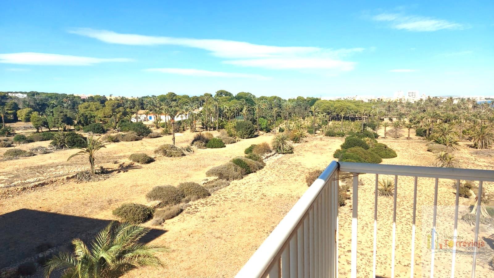 For sale of apartment in Torrevieja