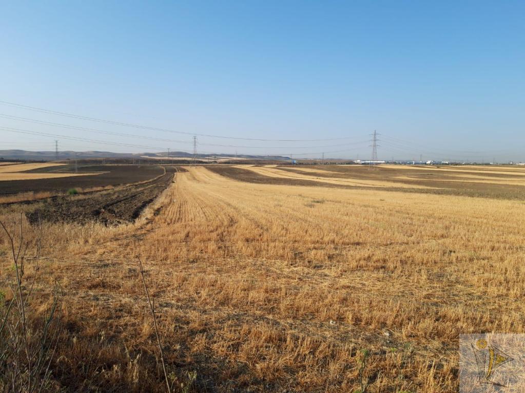 For sale of land in Getafe