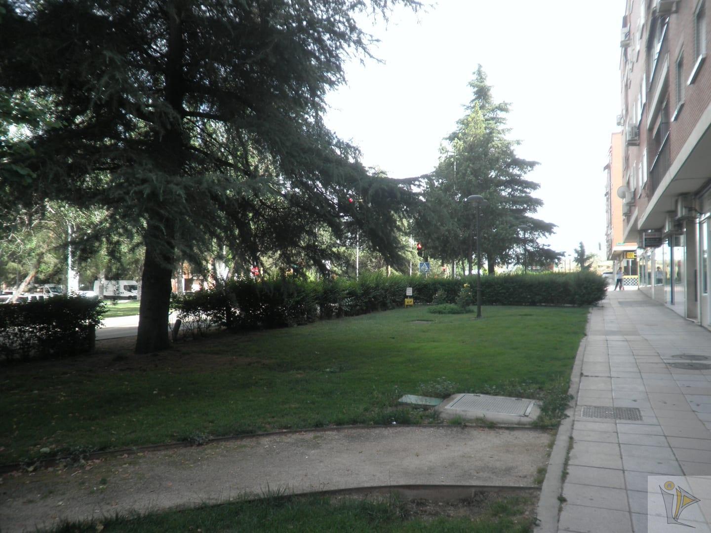 Venta de local en San Fernando de Henares