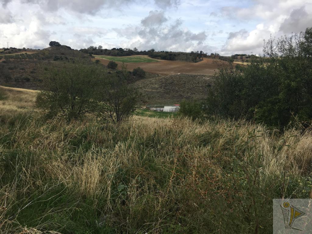 Venta de terreno en Corpa