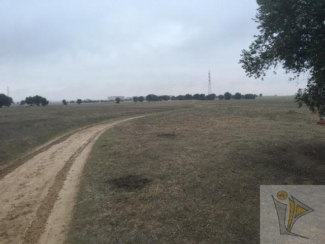 Venta de terreno en Ciempozuelos