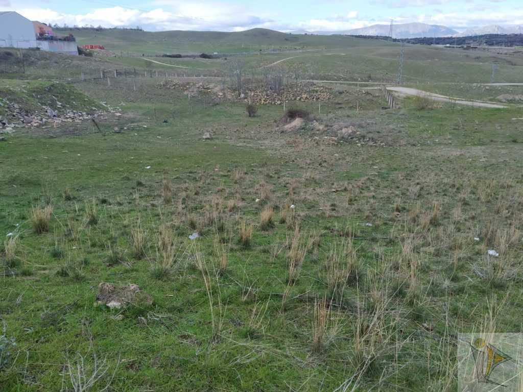 Venta de terreno en El Molar