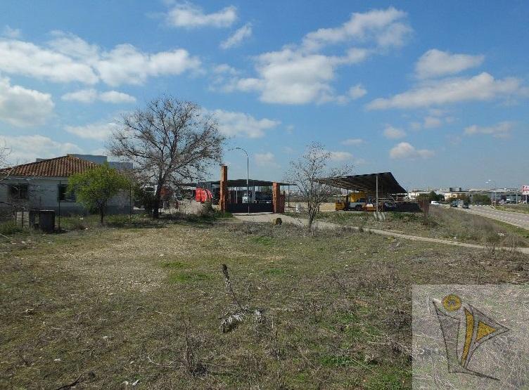 Venta de terreno en Pinto