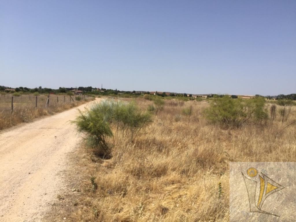Venta de terreno en Fresno de Torote