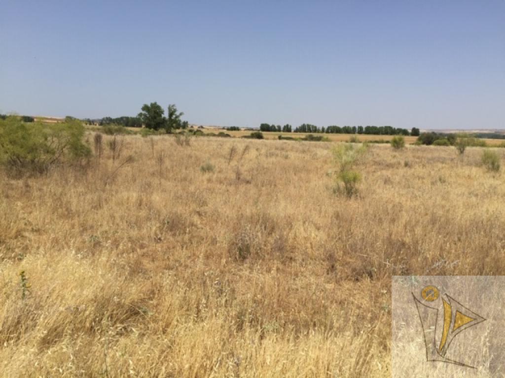 Venta de terreno en Fresno de Torote