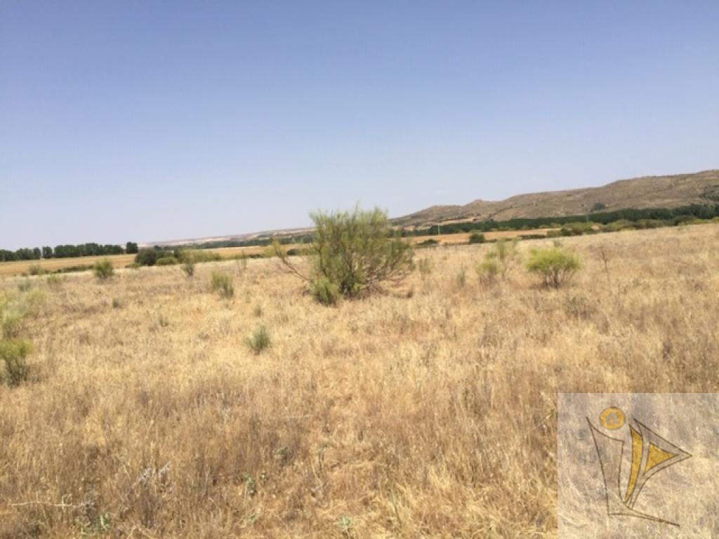 Venta de terreno en Fresno de Torote