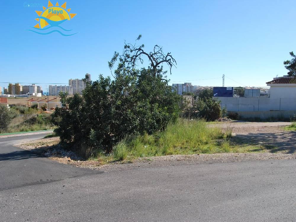 For sale of land in Peñíscola