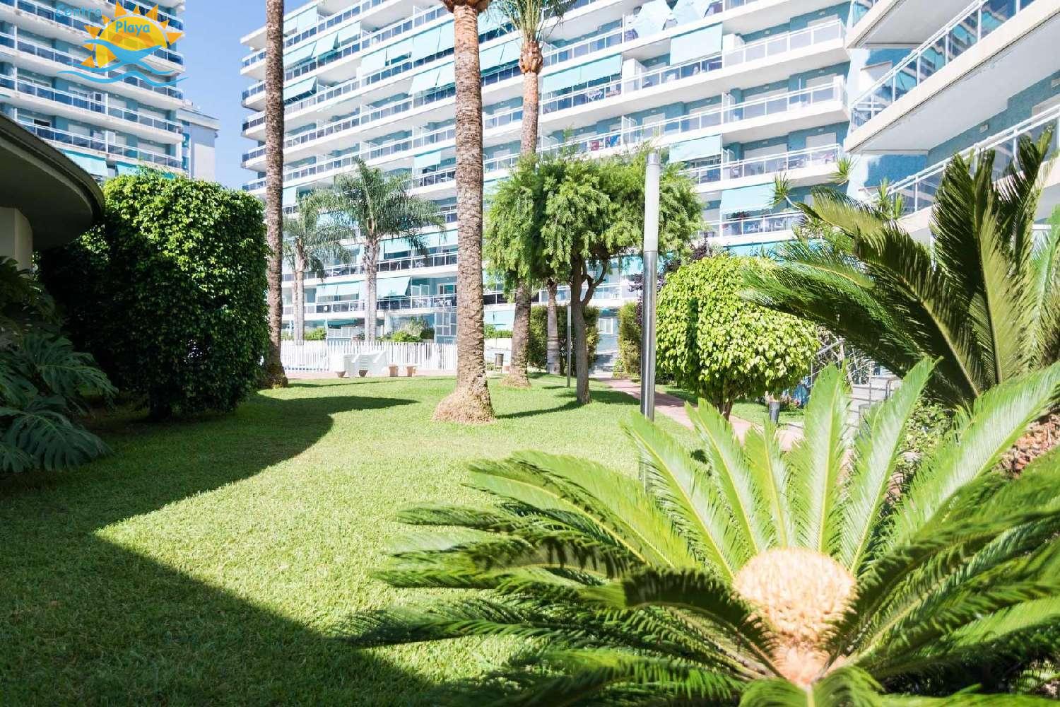 Venta de apartamento en Gandia