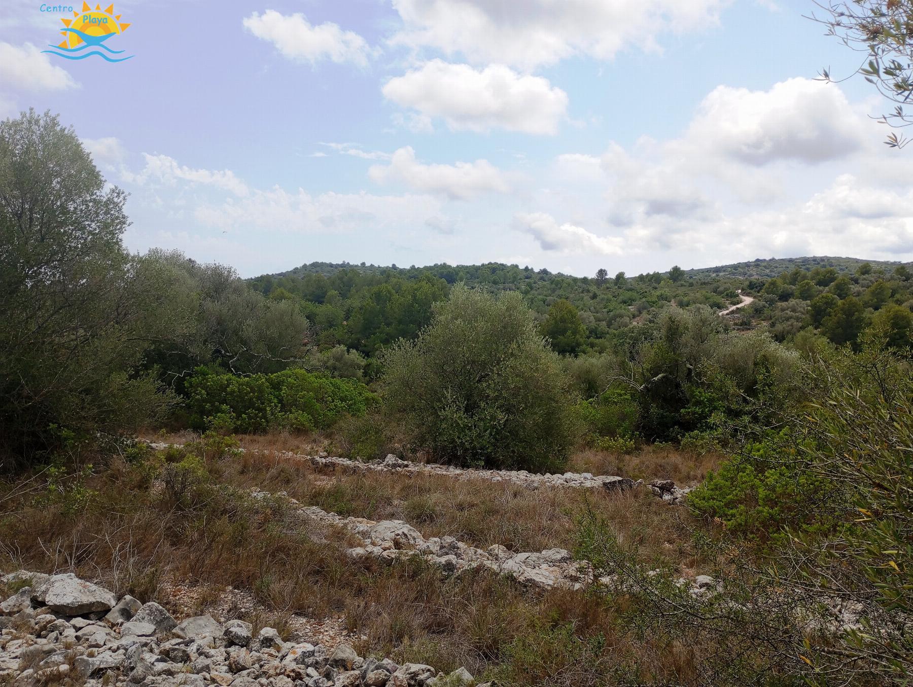 Venta de finca rústica en Càlig