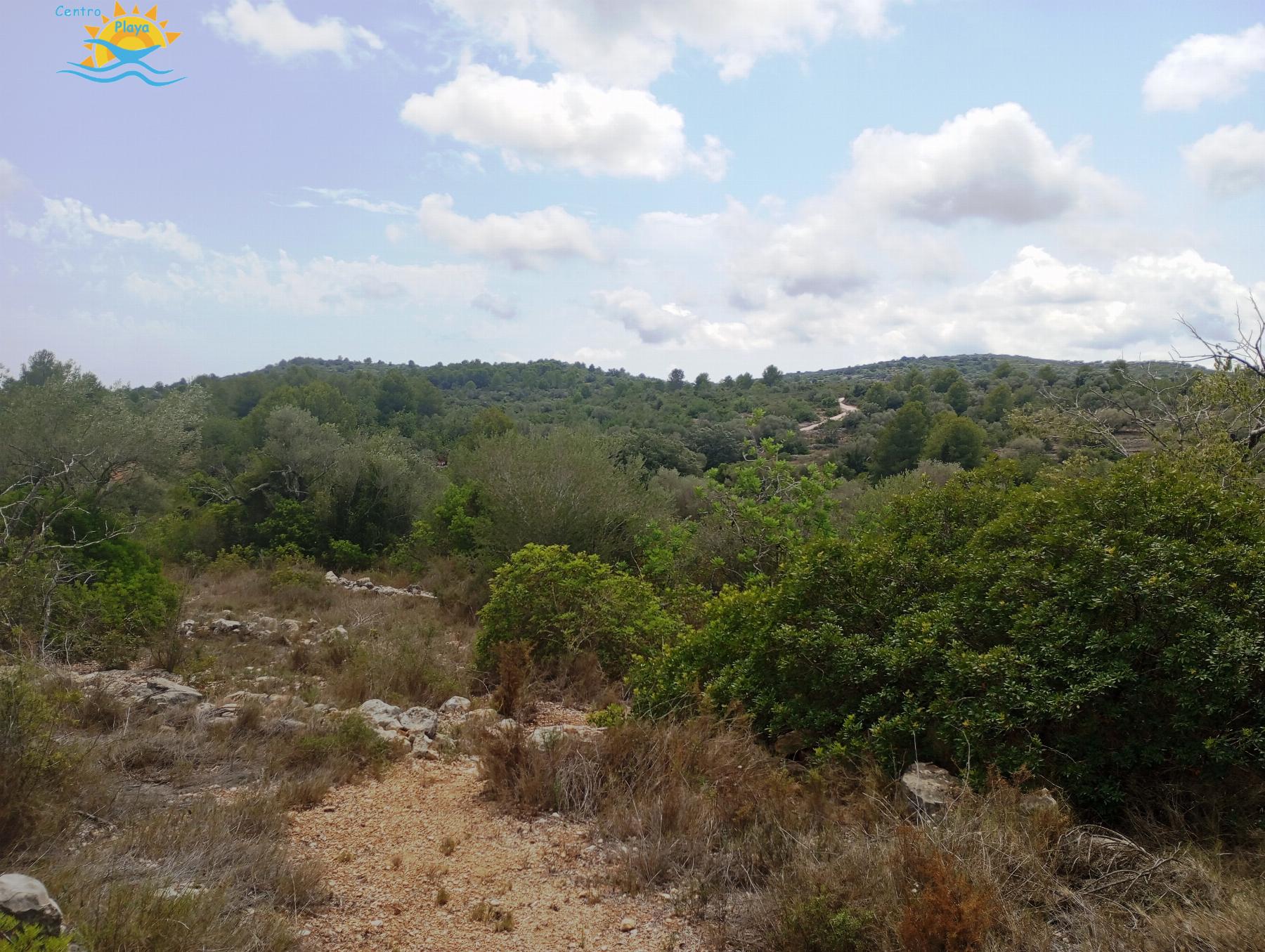 Venta de finca rústica en Càlig