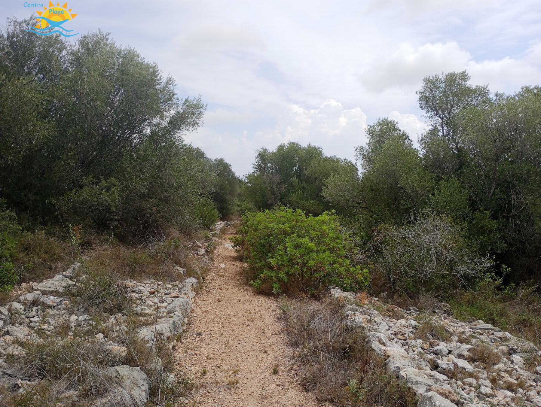 Venta de finca rústica en Càlig
