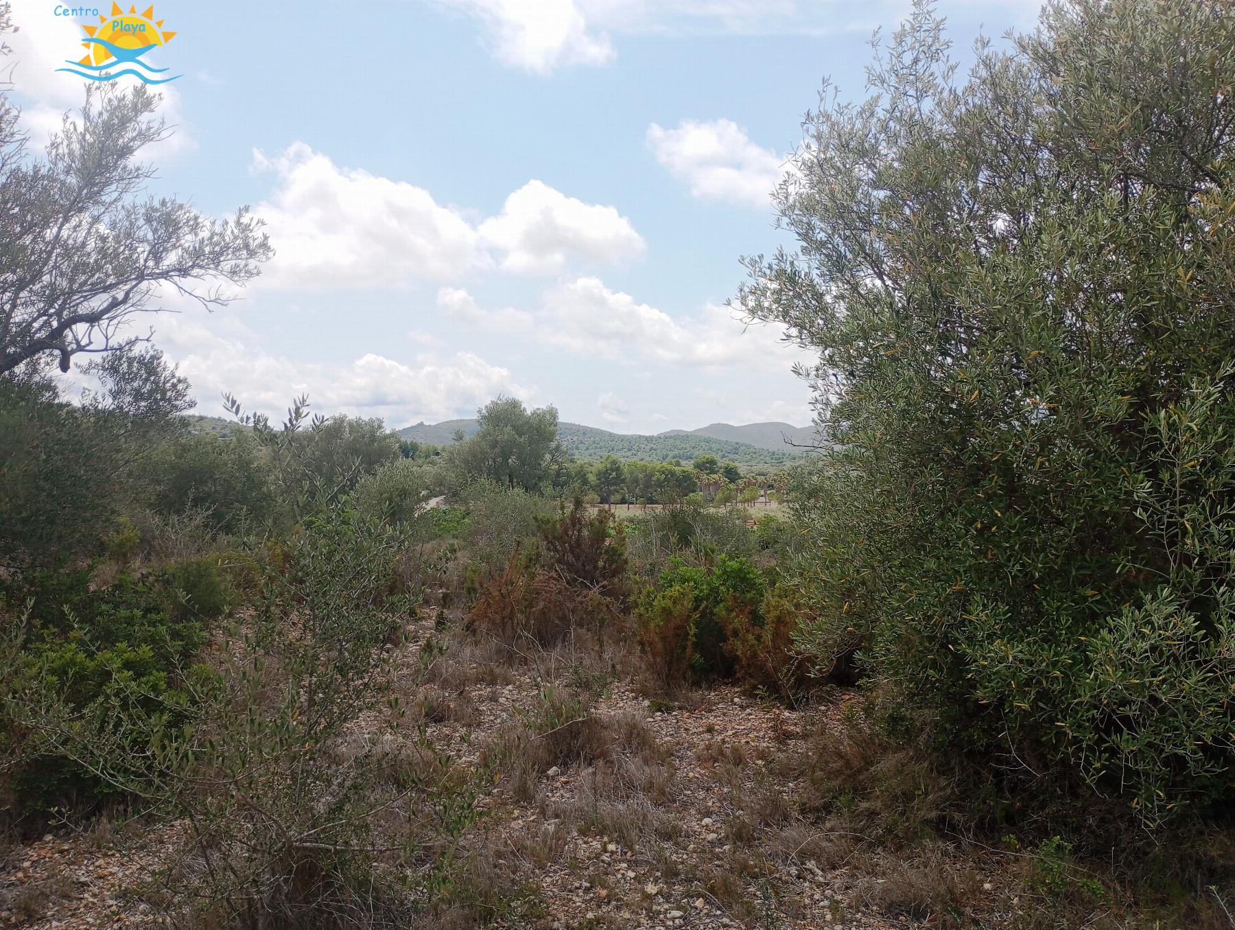 Venta de finca rústica en Càlig