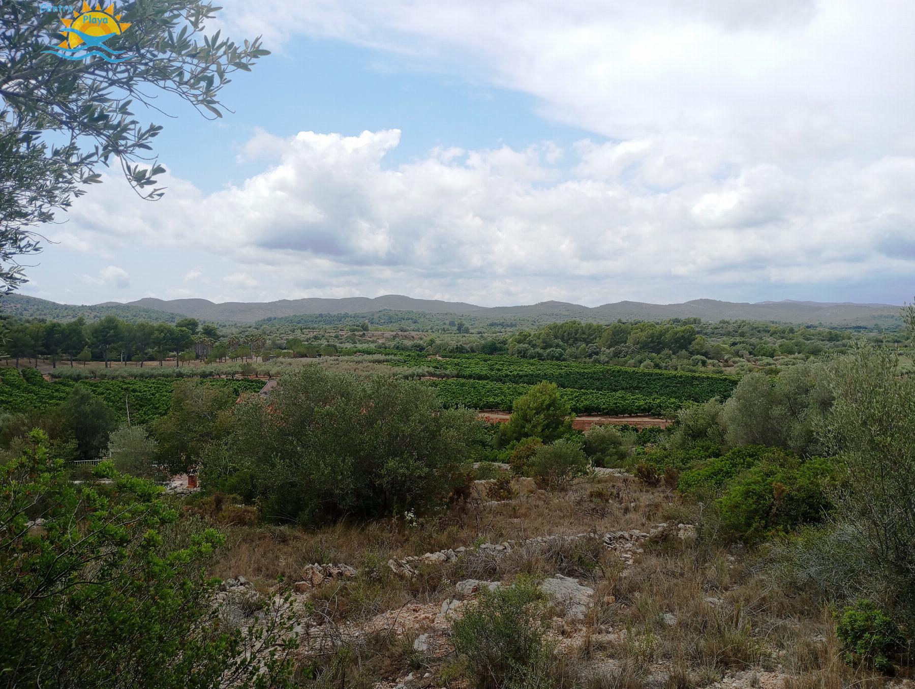 Venta de finca rústica en Càlig