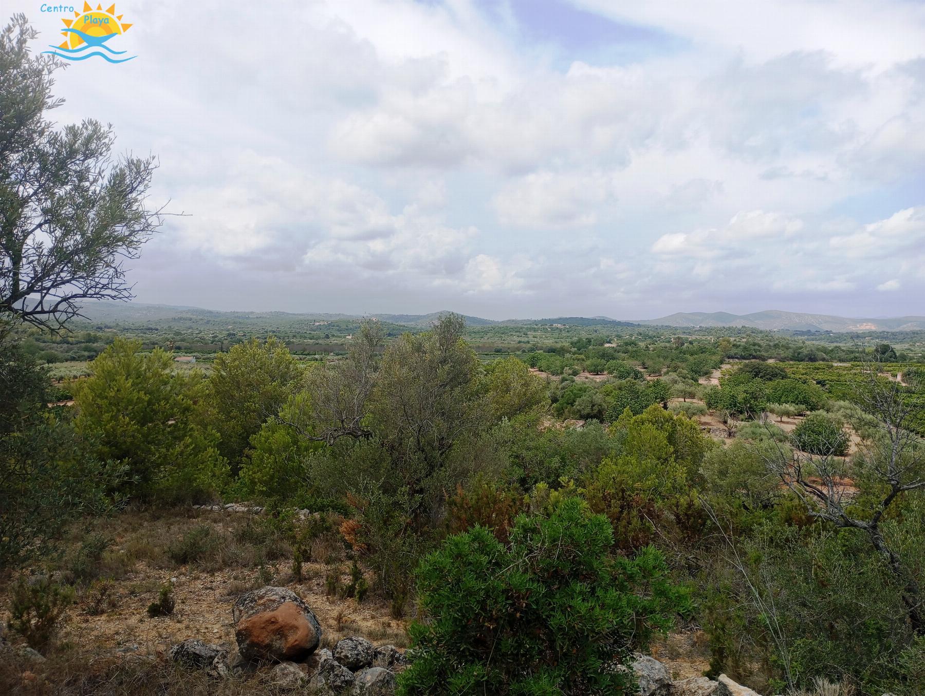 Venta de finca rústica en Càlig