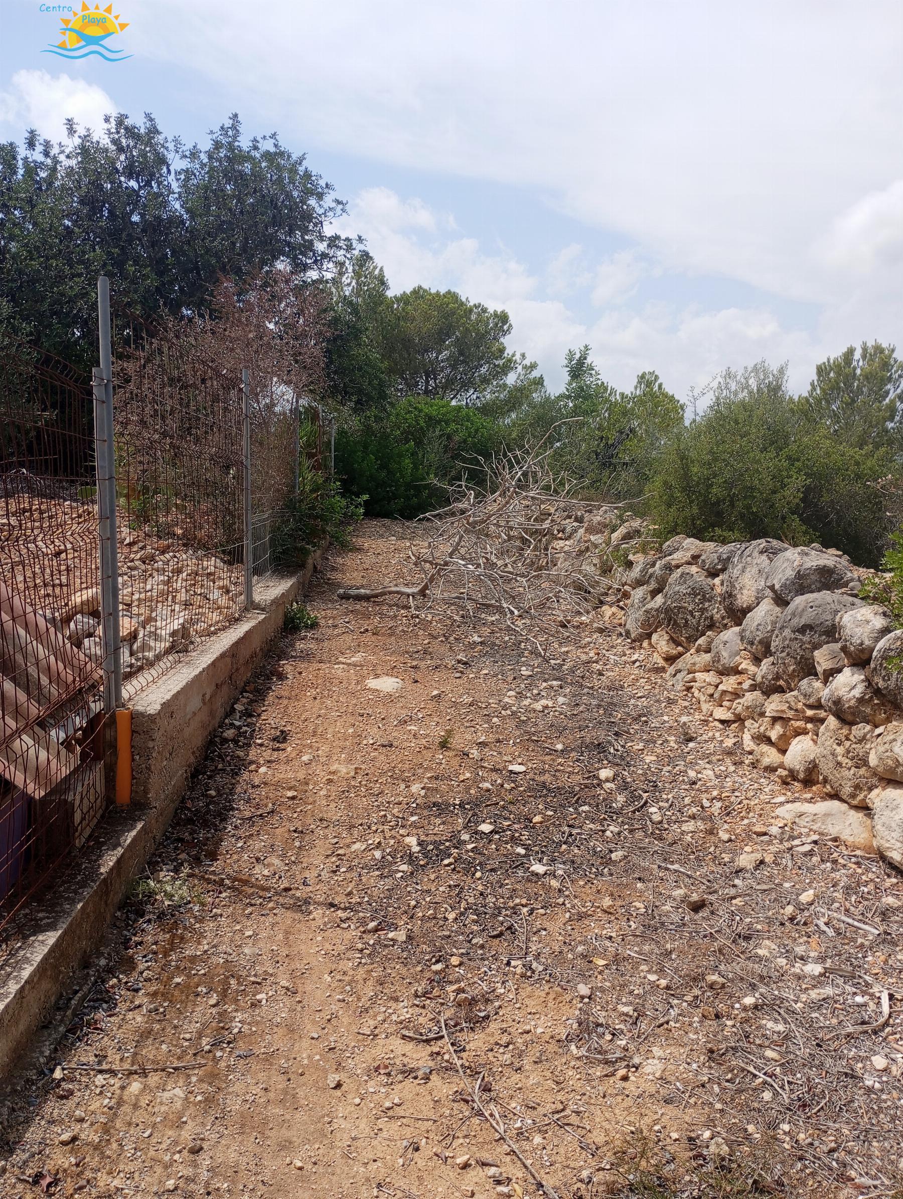 Venta de finca rústica en Càlig