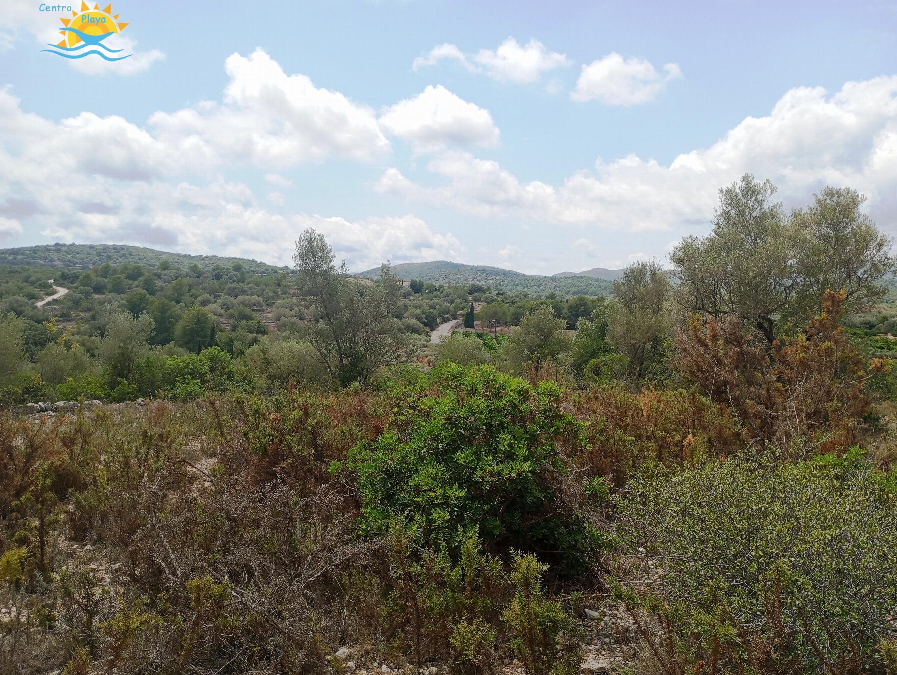 Venta de finca rústica en Càlig