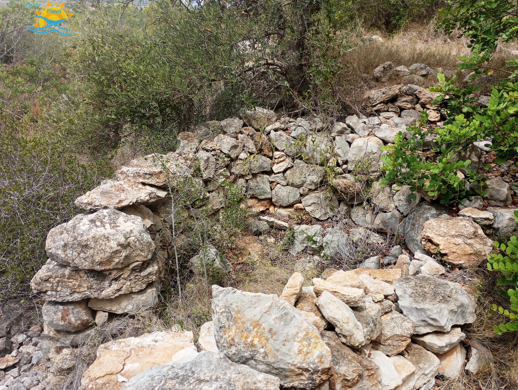 Venta de finca rústica en Càlig