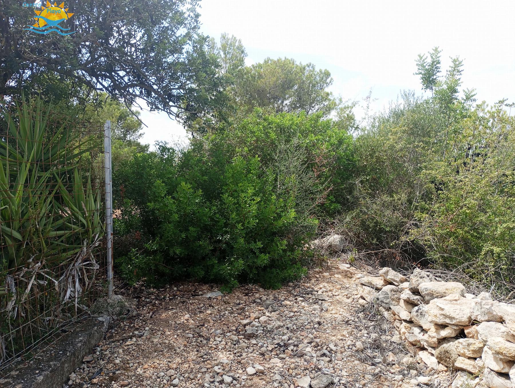 Venta de finca rústica en Càlig
