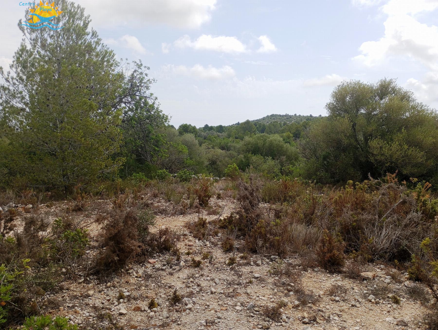 Venta de finca rústica en Càlig