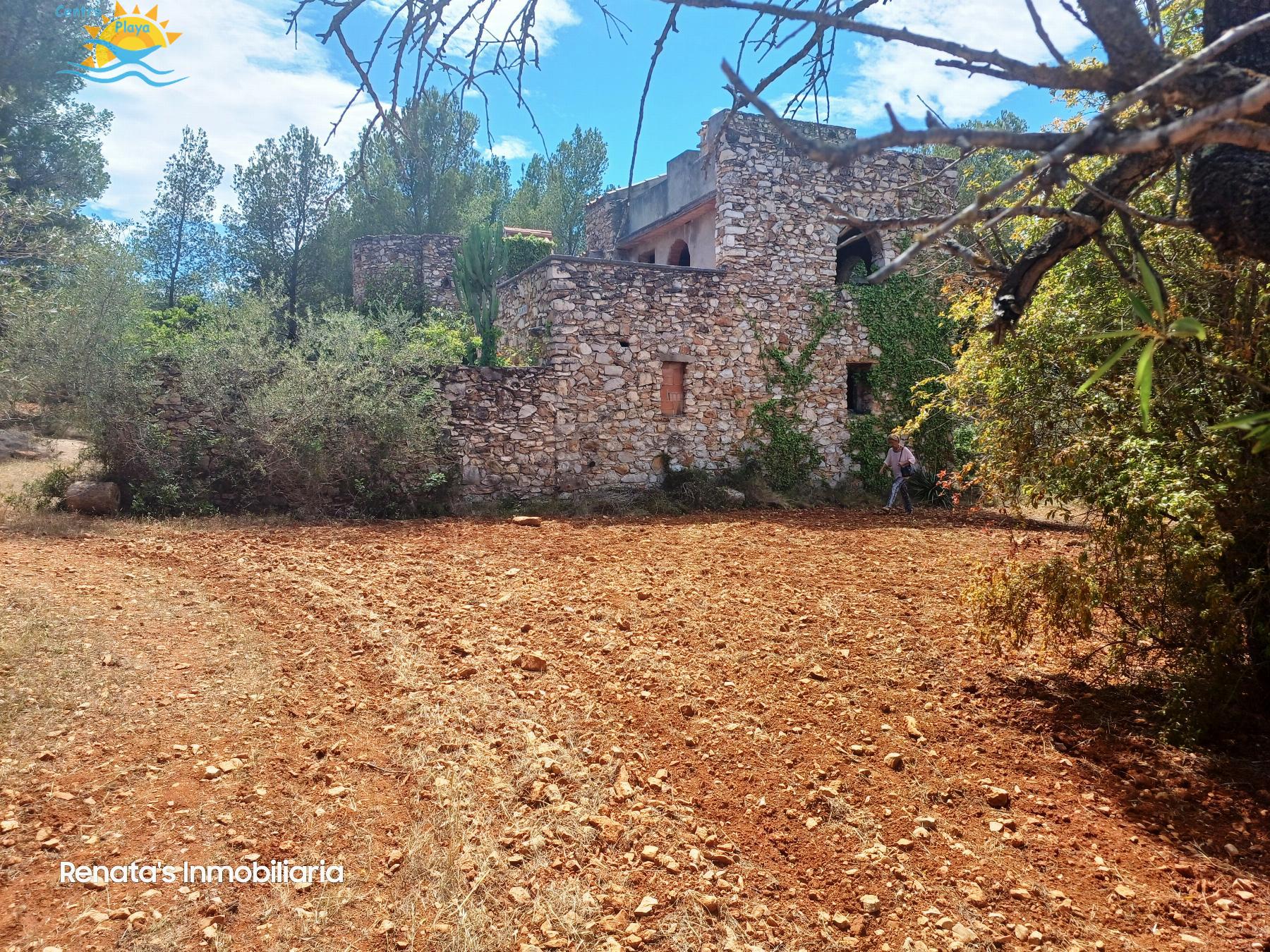 Venta de finca rústica en Peñíscola