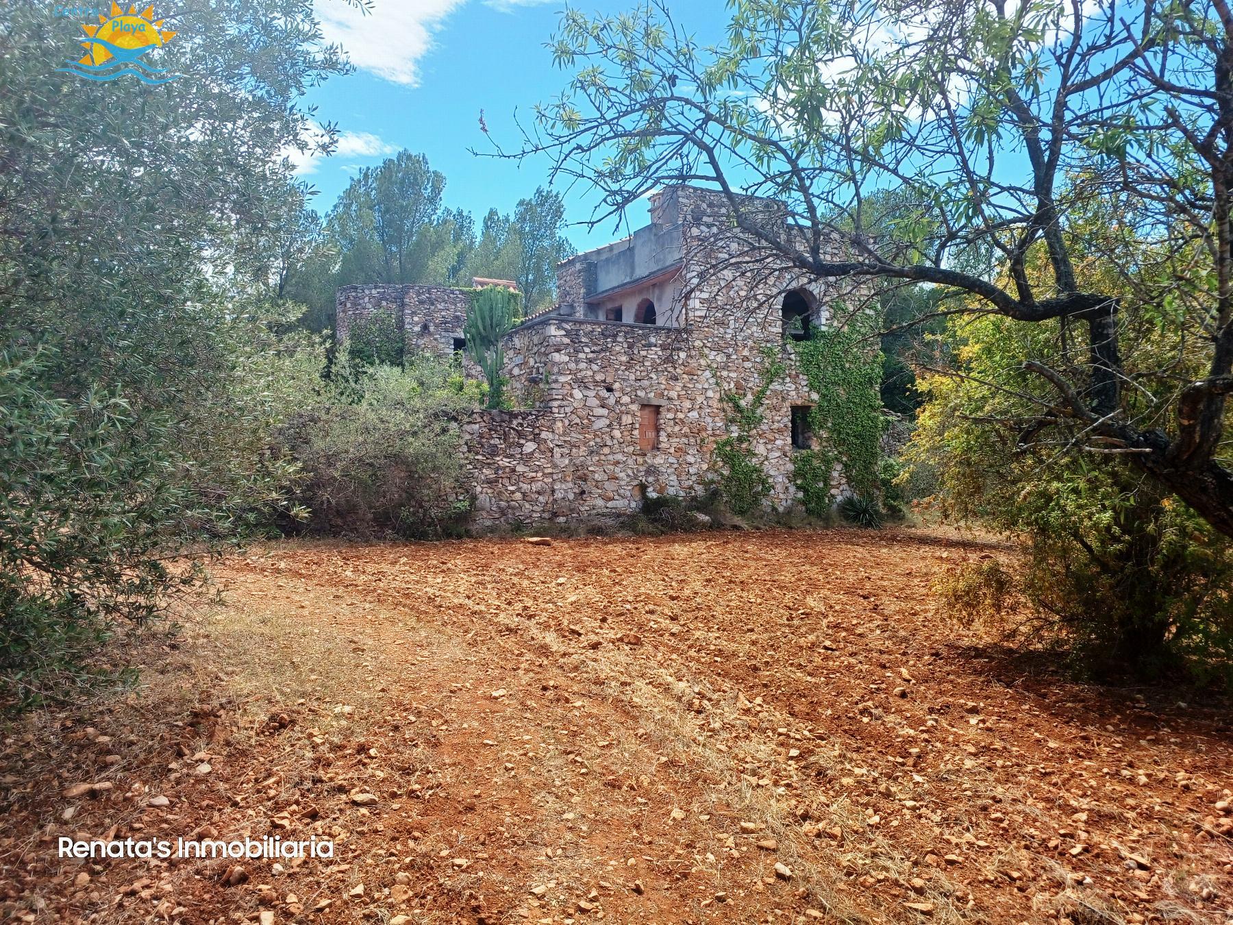 Venta de finca rústica en Peñíscola