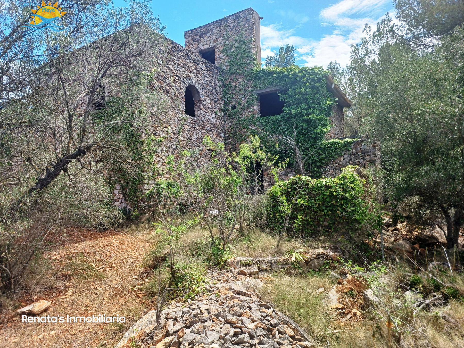 Venta de finca rústica en Peñíscola
