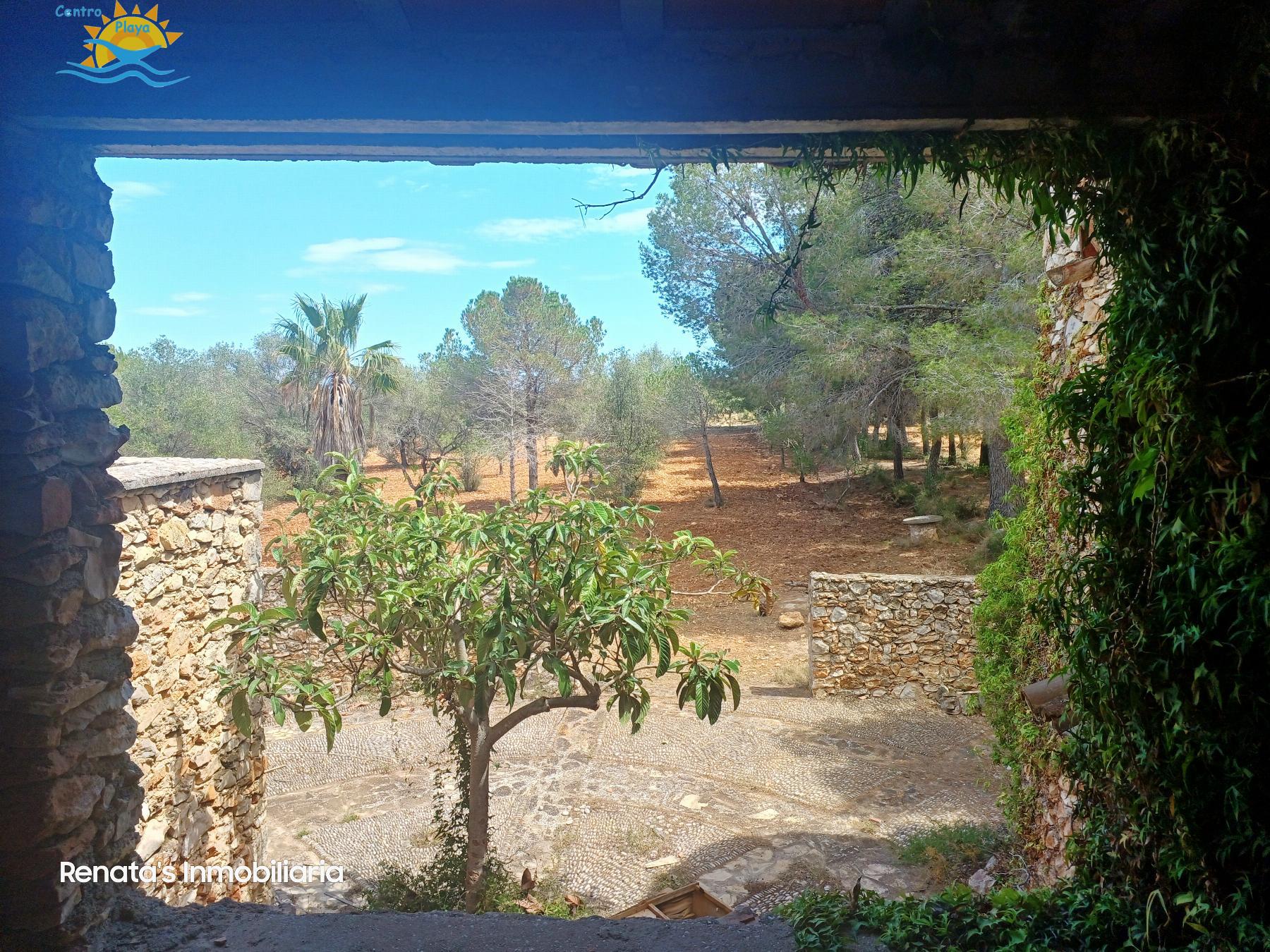 Venta de finca rústica en Peñíscola
