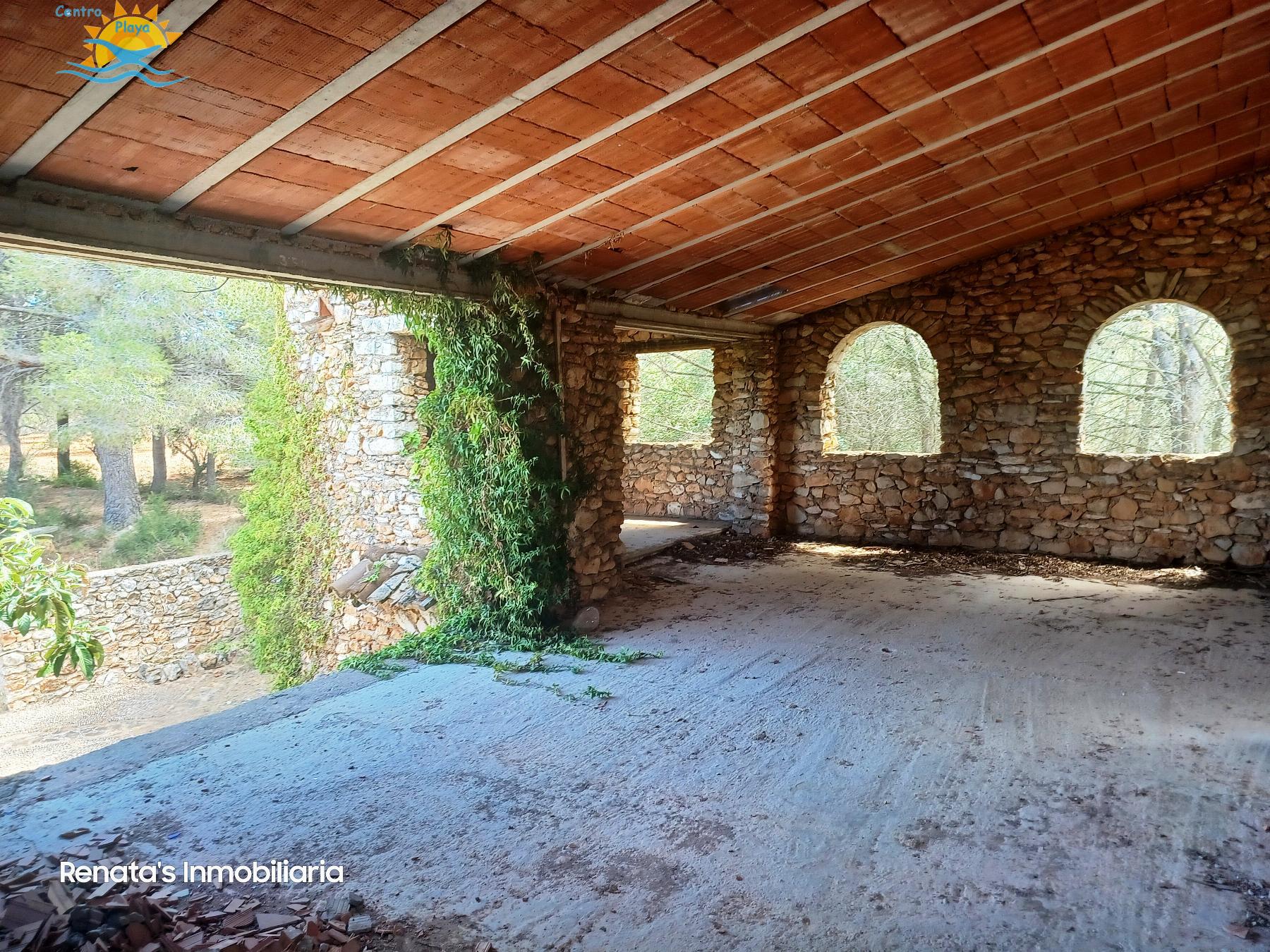 Venta de finca rústica en Peñíscola