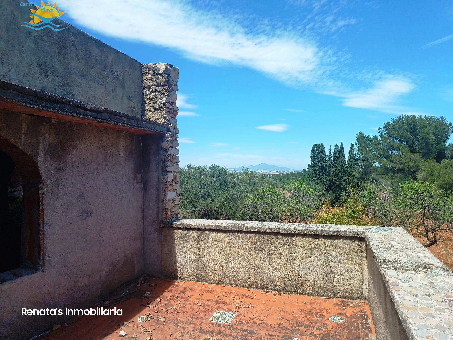 Venta de finca rústica en Peñíscola
