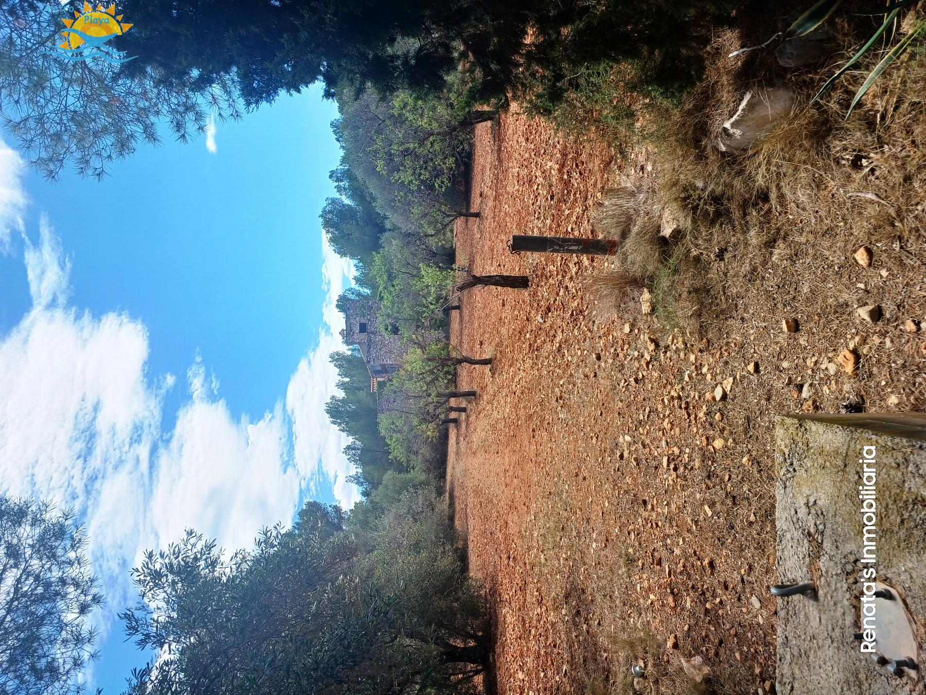 Venta de finca rústica en Peñíscola