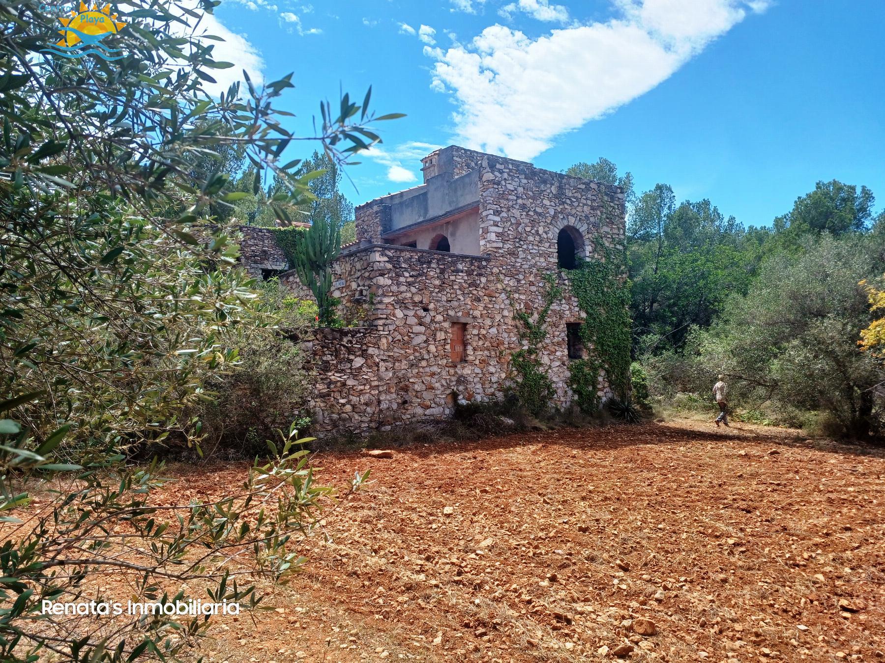 Venta de finca rústica en Peñíscola