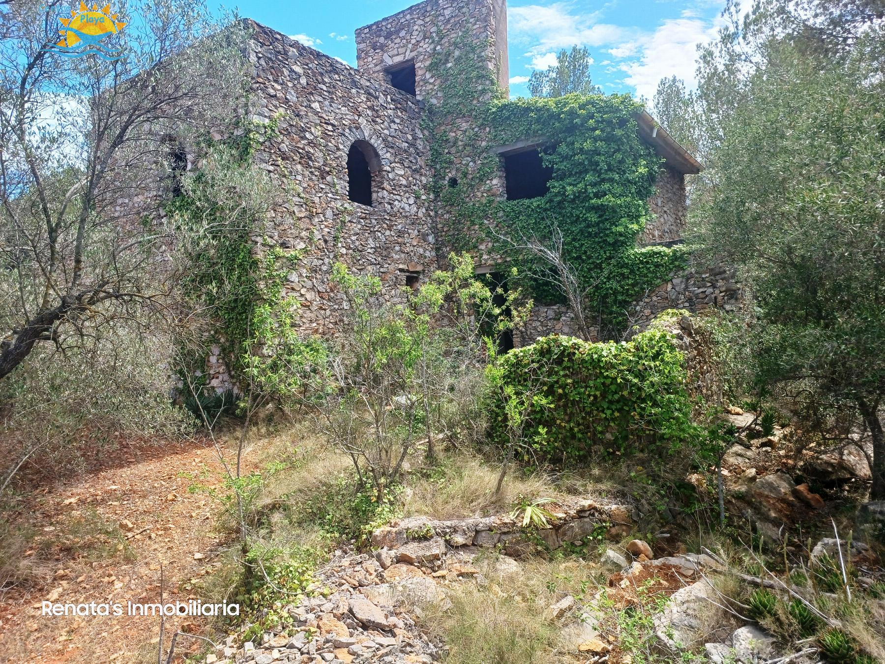 Venta de finca rústica en Peñíscola